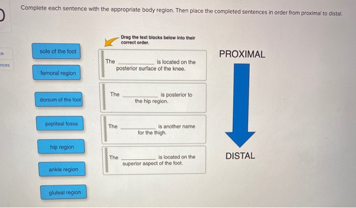 so-that-examples-english-study-here