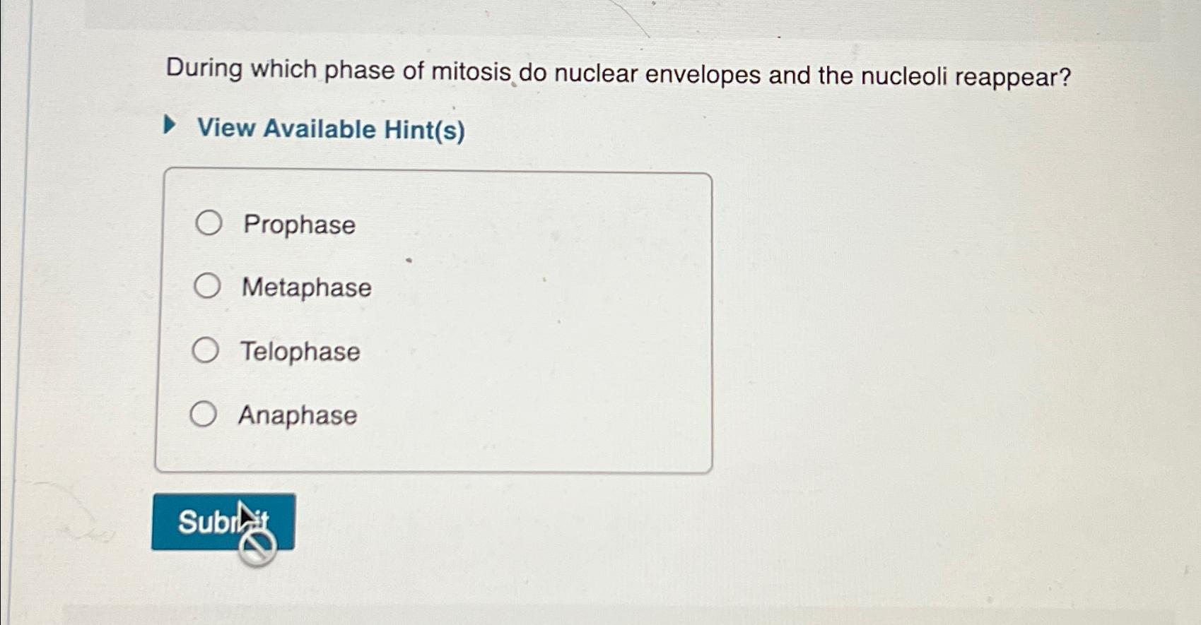 phase of mitosis when two nuclear envelopes form