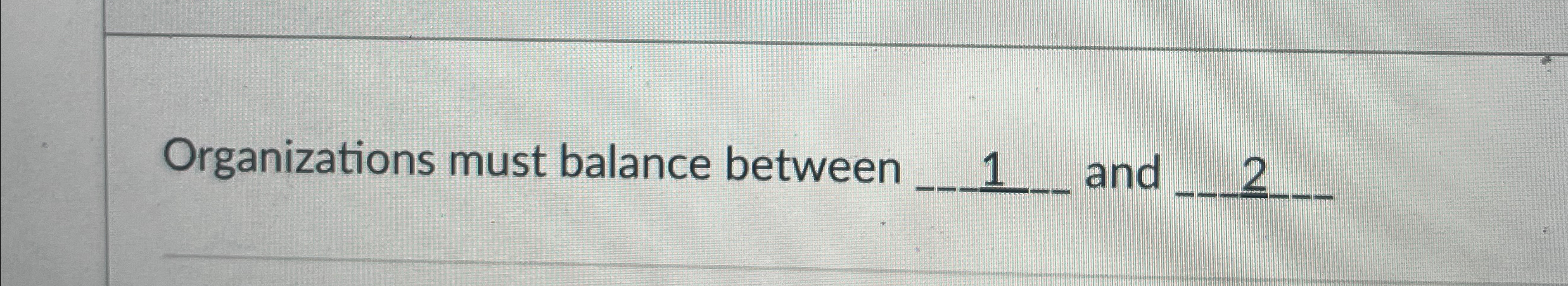 organizations must balance between