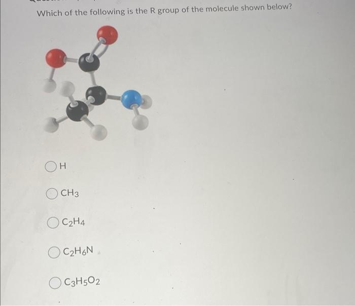 Solved Which of the following is the R group of the molecule | Chegg.com