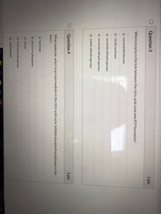 Solved D Question 3 1 pts Which enzyme is the link between | Chegg.com