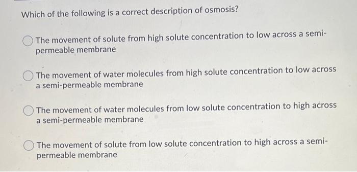 which statement best describes hypothesis