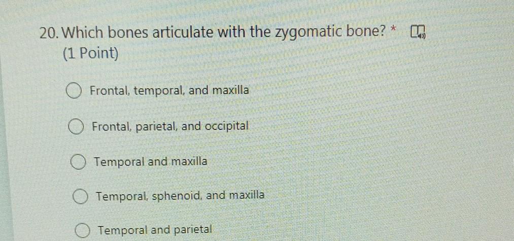 solved-20-which-bones-articulate-with-the-zygomatic-bone-chegg