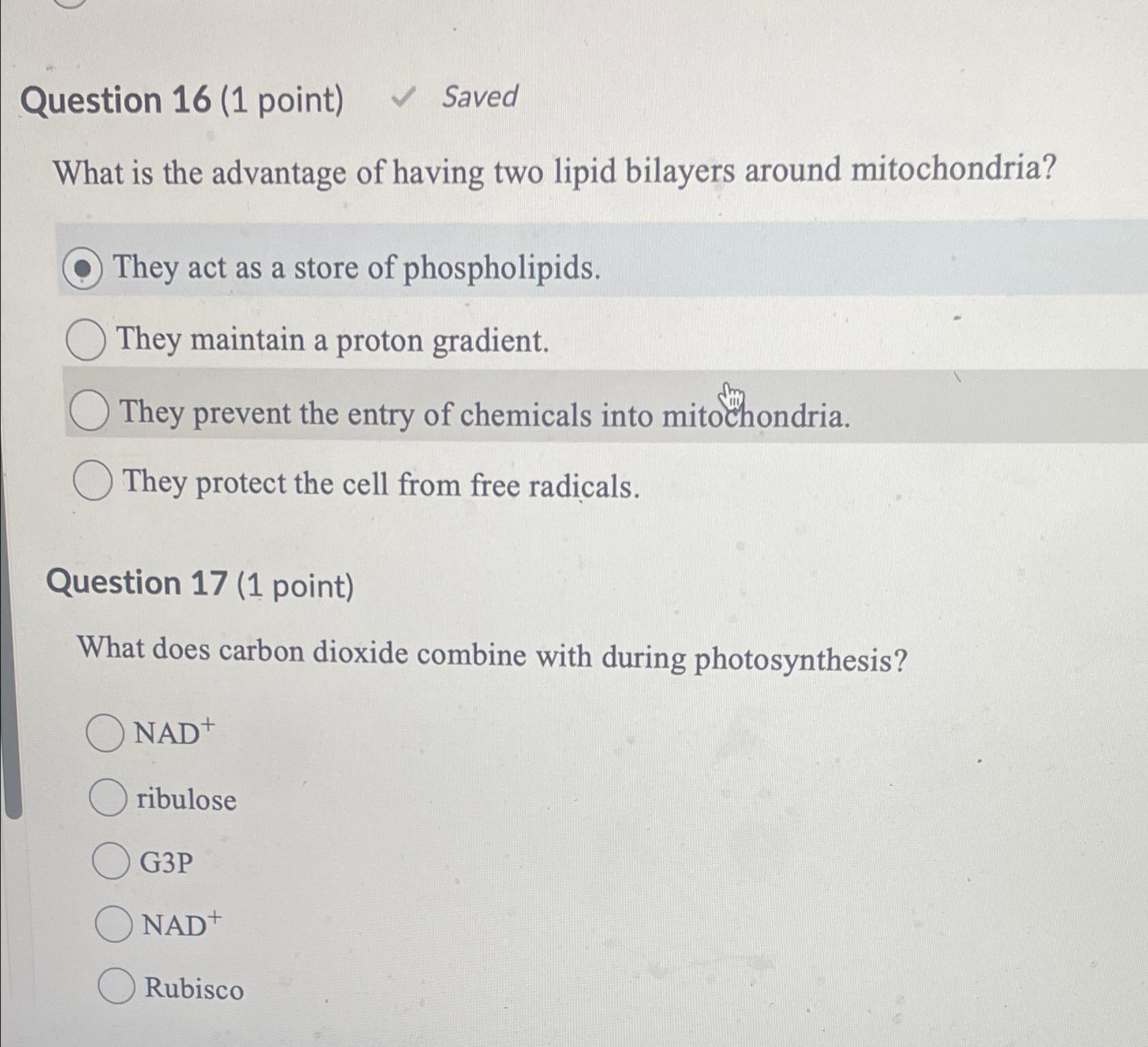 Solved Question 16 (1 ﻿point) ﻿SavedWhat is the advantage | Chegg.com