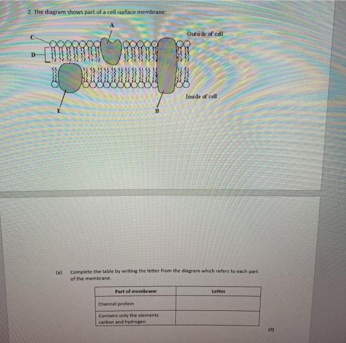 Solved 2. The diagram shows part of a cell surface membrane | Chegg.com