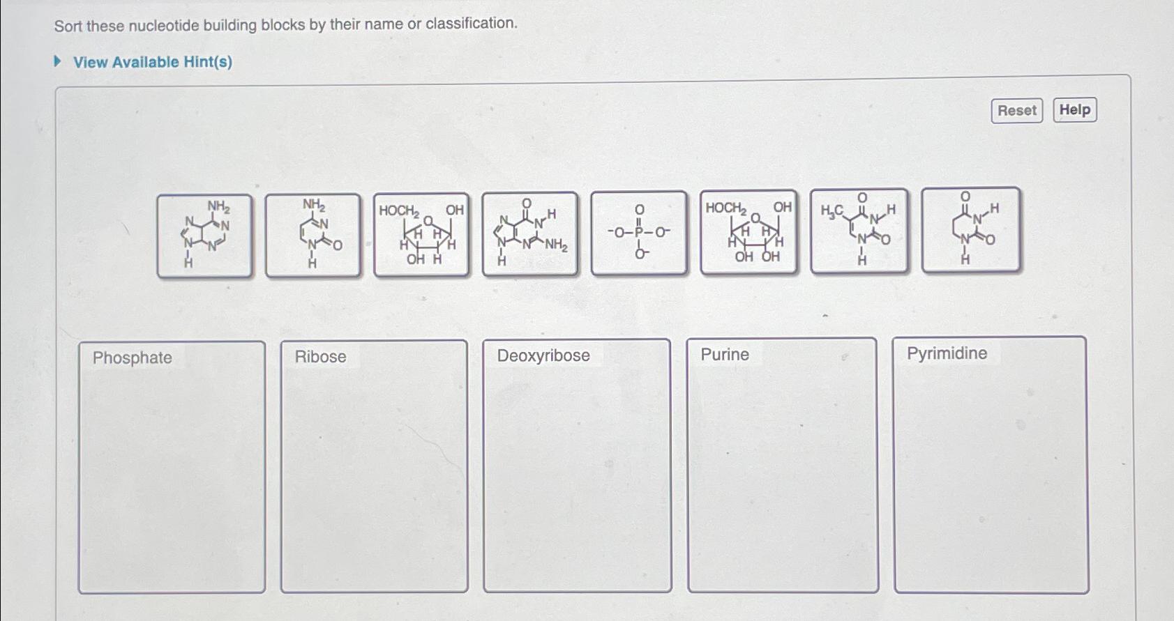 Solved Sort these nucleotide building blocks by their name