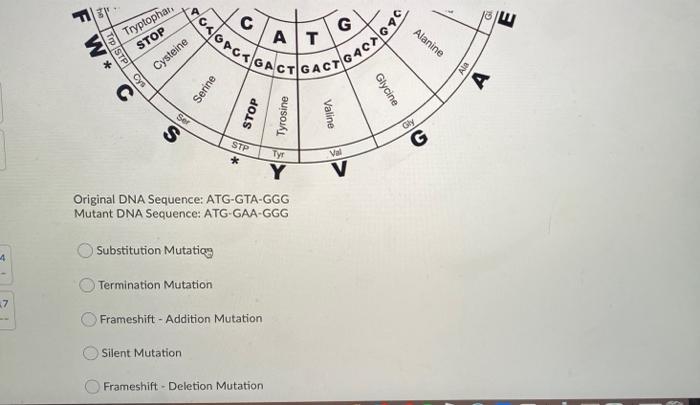 Solved Question 17 (1 point) Listen Identify which type of | Chegg.com