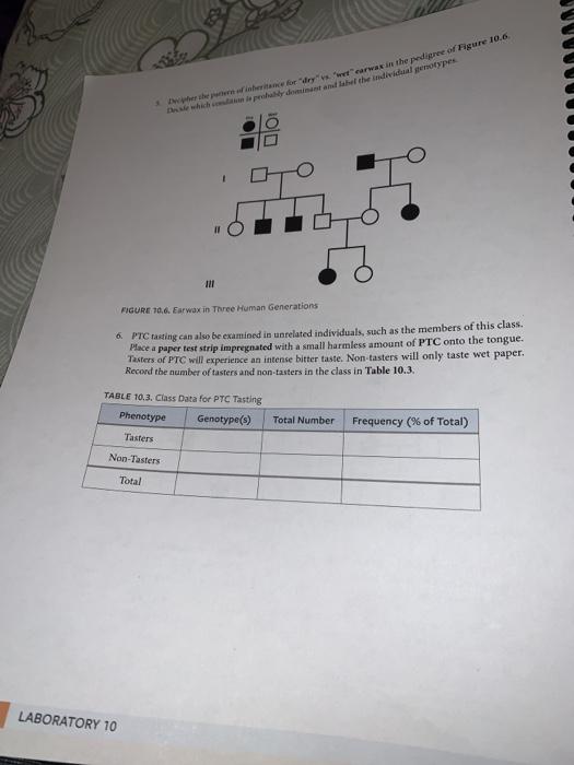 Solved EXERCISE 10.2. MENDELIAN INHERITANCE AND PEDIGREE | Chegg.com