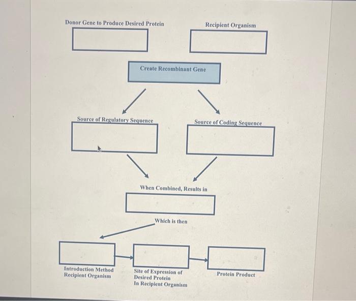 Donor Gene to Produce Desired Protein
Source of Regulatory Sequence
Introduction Method
Recipient Organism
Create Recombinant