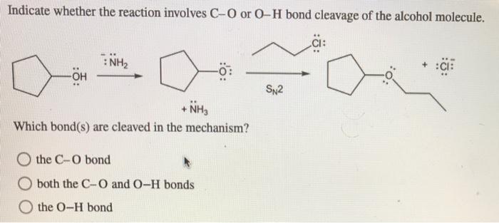Indicate whether the reaction involves C-O or O-H bond cleavage of the alcohol molecule.
CI:
NH2
OH
SN2
+ NH₃
Which bond(s) a
