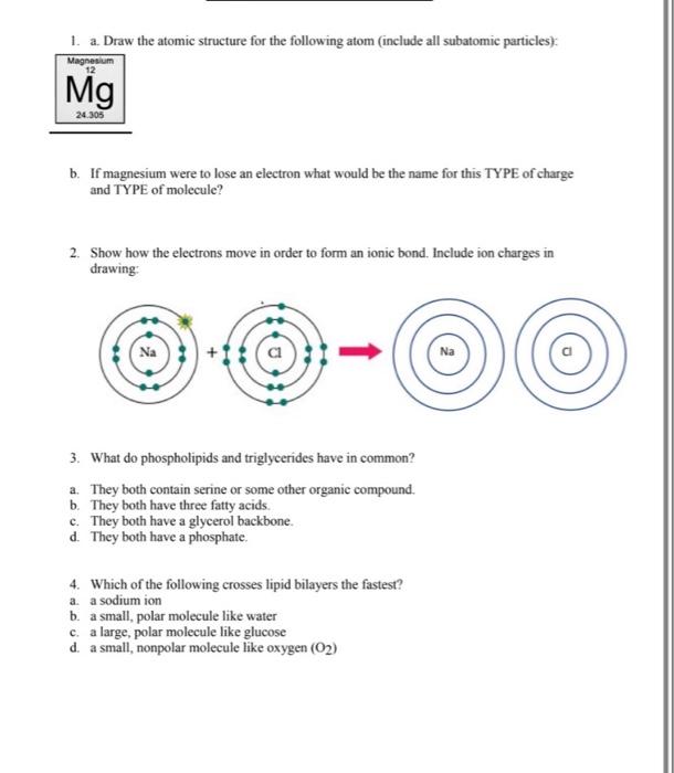 magnesium atom structure