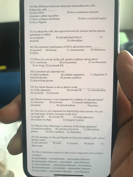 Solved 34) One difference between eukaryotic and prokaryotic | Chegg.com