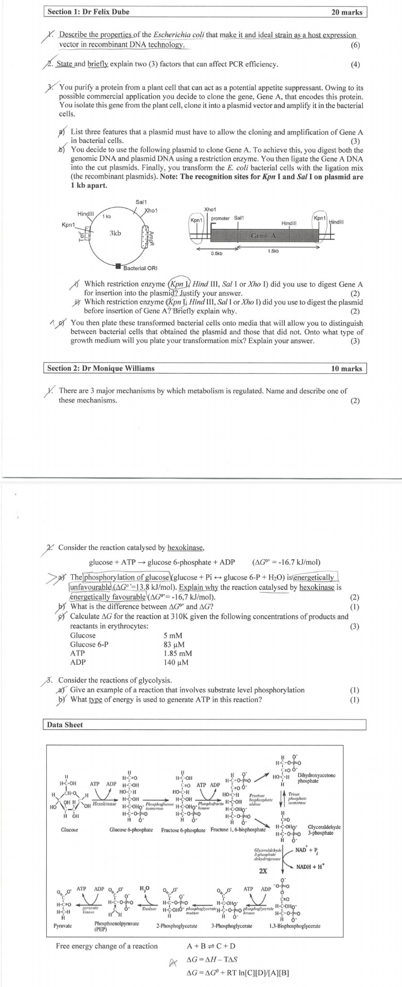 Solved pleae help answer all questions. (30 ﻿marks). ﻿give | Chegg.com