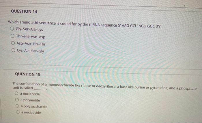 Solved QUESTION 14 Which amino acid sequence is coded for by | Chegg.com