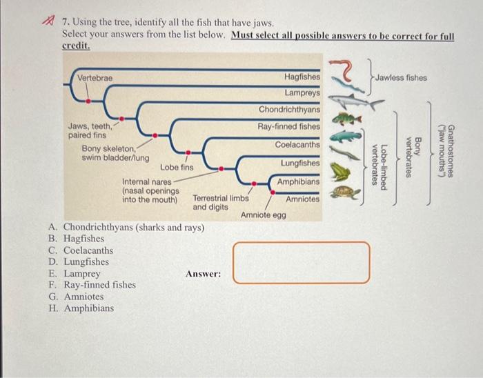 Solved 7. Using the tree, identify all the fish that have | Chegg.com
