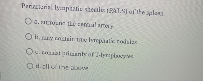 Solved Periarterial lymphatic sheaths (PALS) of the spleen O | Chegg.com