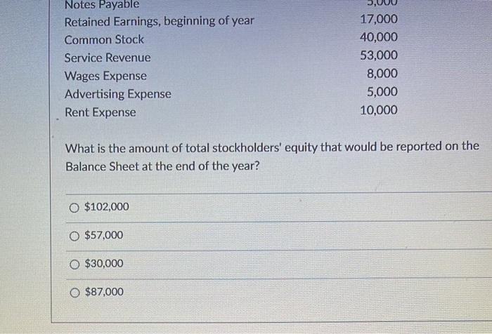 Solved What is the amount of total stockholders' equity that | Chegg.com