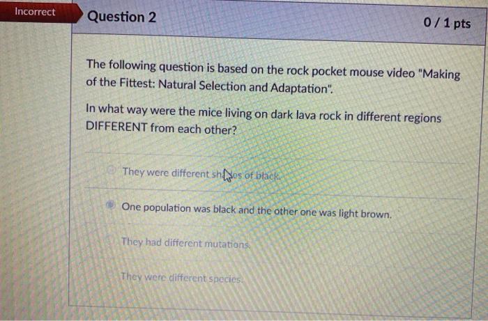 Incorrect Question 2 0 1 Pts The Following Question Chegg Com