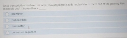 Solved Once transcription has been initiated, RNA polymerase | Chegg.com