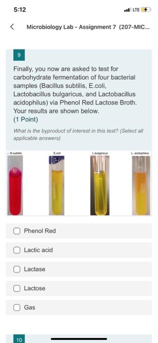Solved 5:12 LTE Microbiology Lab - Assignment 7 (207-MIC... | Chegg.com