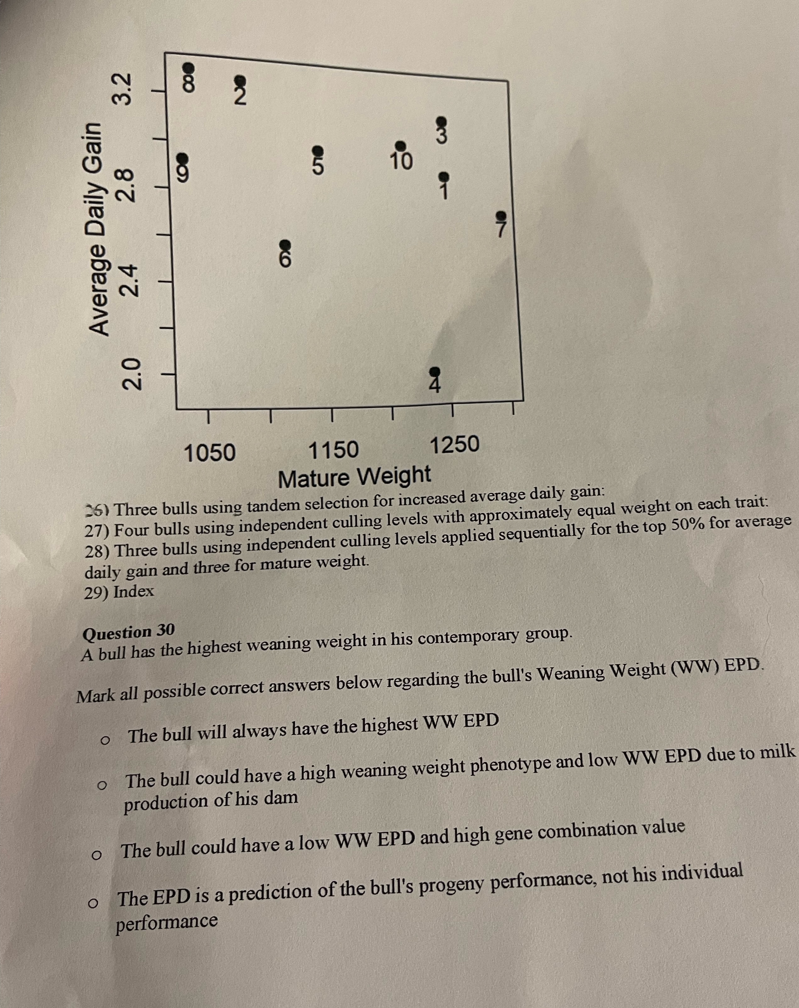 Solved Three bulls using tandem selection for increased | Chegg.com