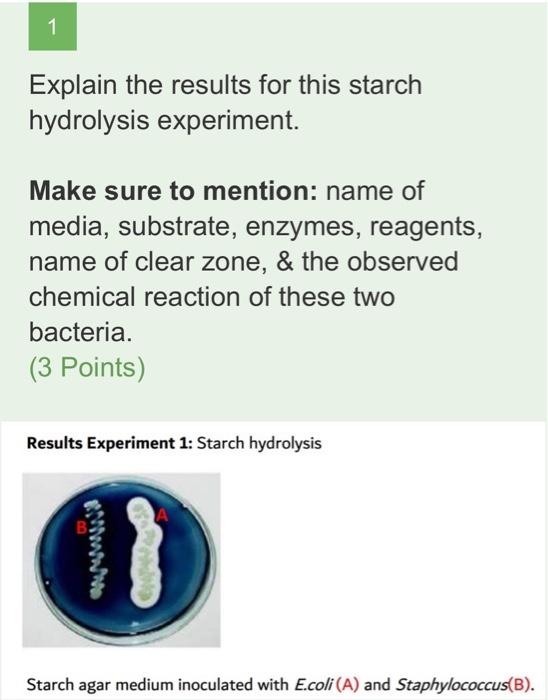Solved 1 Explain the results for this starch hydrolysis