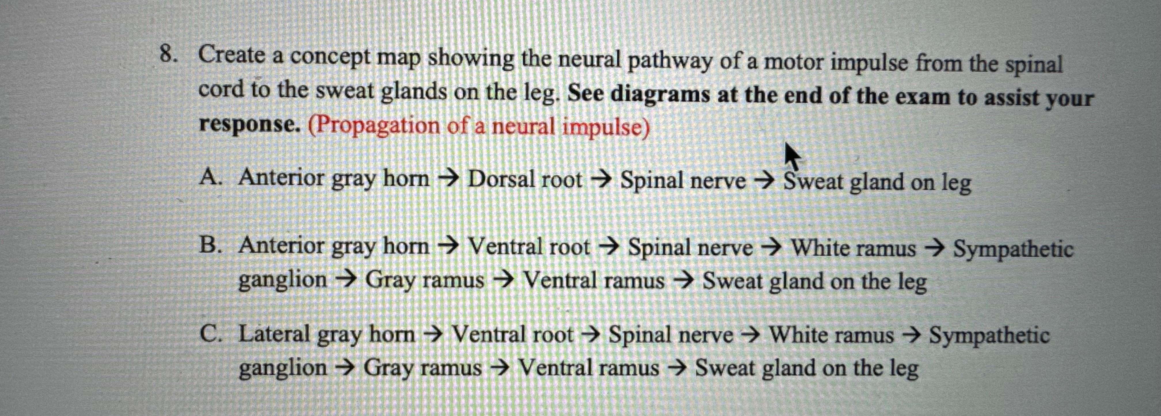 Solved Create a concept map showing the neural pathway of a | Chegg.com