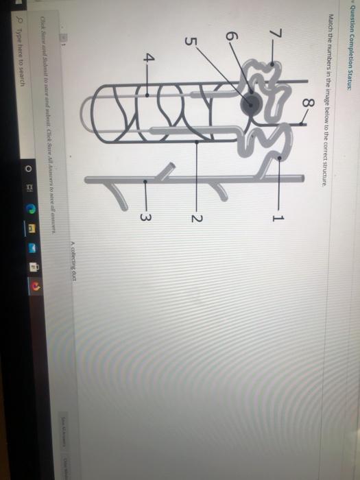 Solved Question Completion Status: Match the numbers in the | Chegg.com