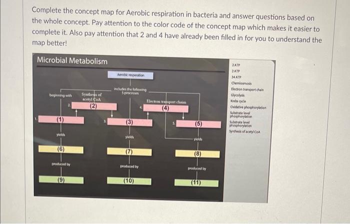 Complete the concept map for Aerobic respiration in bacteria and answer questions based on the whole concept. Pay attention t