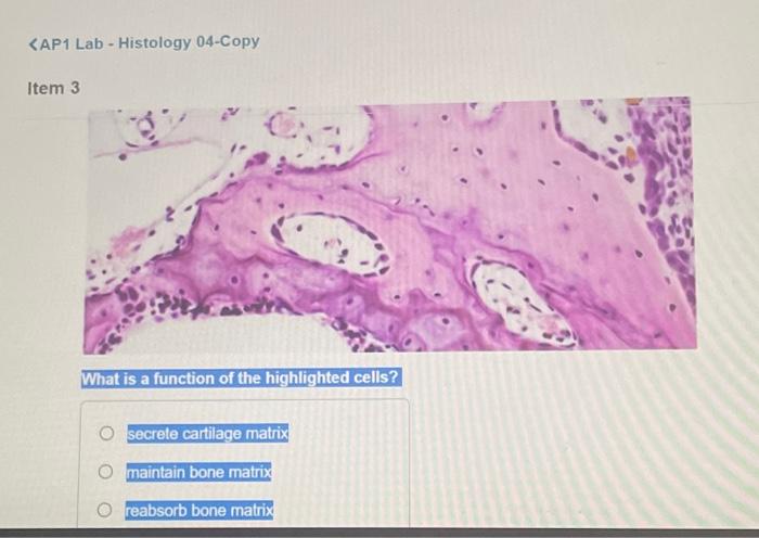 what-is-a-function-of-the-highlighted-cells-chegg