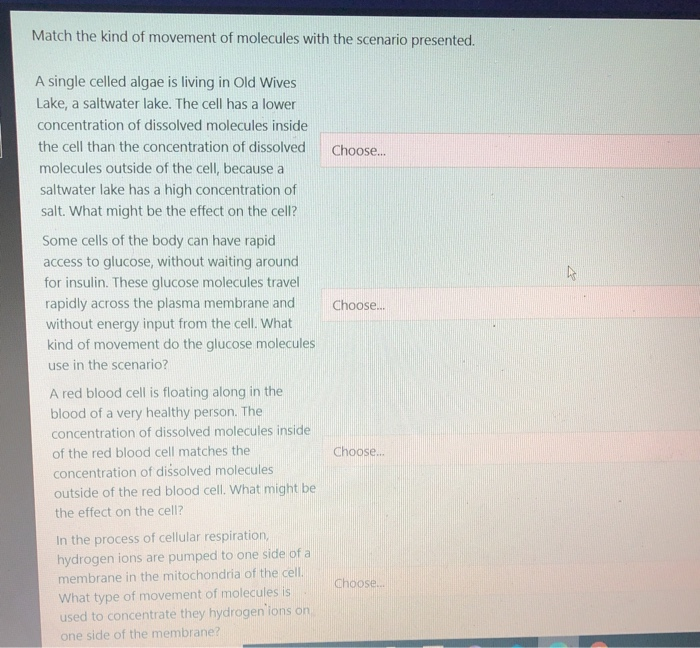 Solved Choose The Option That Best Defines The Term | Chegg.com Solved Choose The Option That Best Defines The Term | Chegg.com