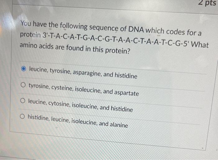 Solved You have the following sequence of DNA which codes | Chegg.com