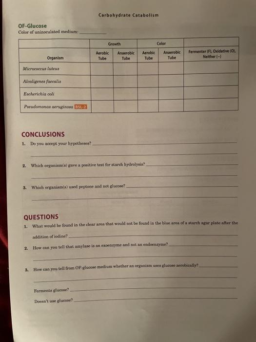 Laboratory Report Carbohydrate Catabolism Purpose Chegg 