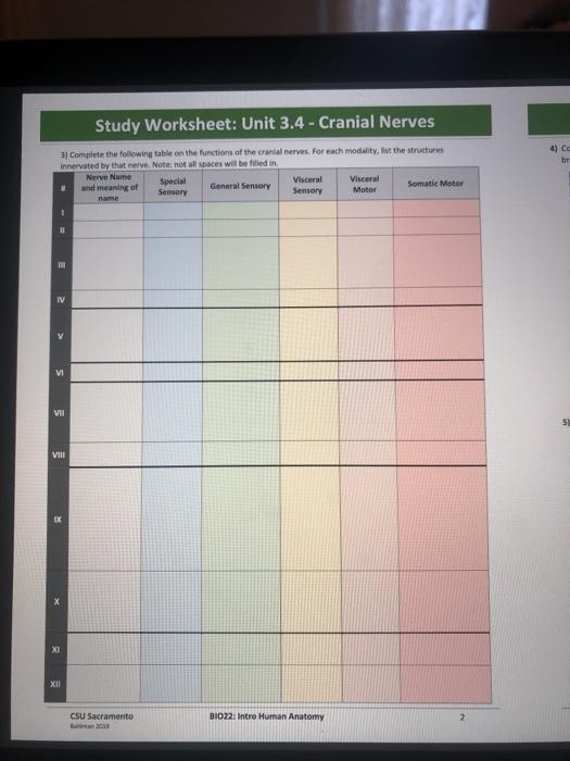 Study Worksheet: Unit 3.4 - Cranial Nerves Study | Chegg.com