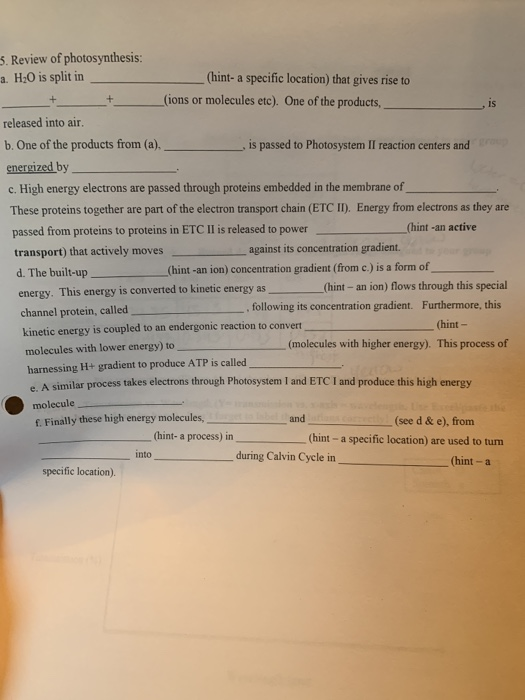 solved-3-review-of-photosynthesis-a-h-o-is-split-in-chegg