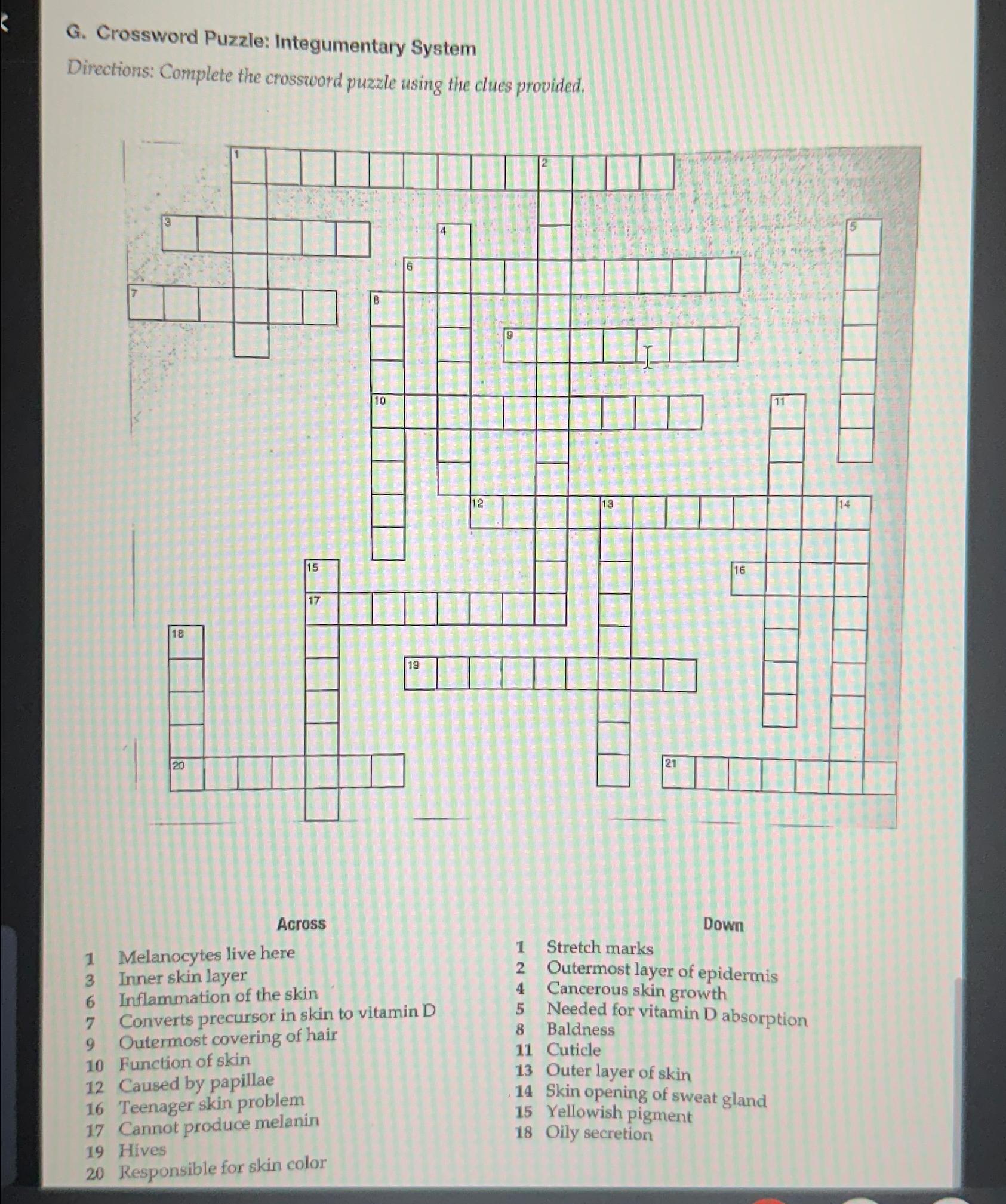 Solved G. ﻿Crossword Puzzle: Integumentary SystemDirections: | Chegg.com