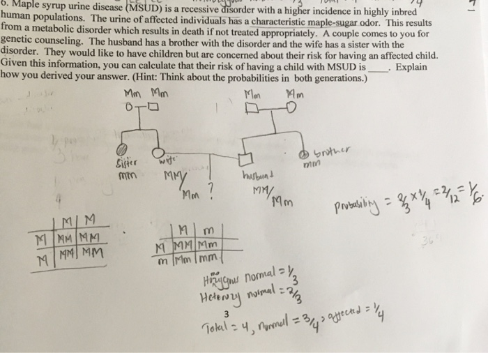 Solved 6. Maple syrup urine disease (MSUD) is a recessive