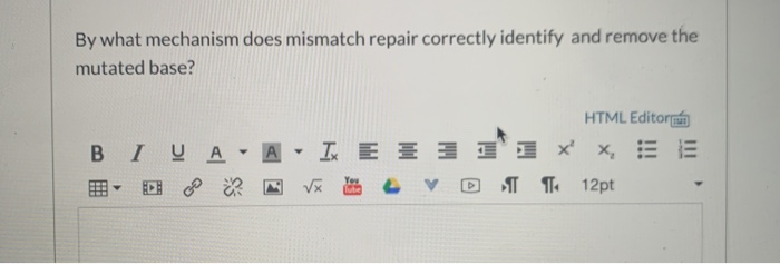 Solved By what mechanism does mismatch repair correctly | Chegg.com