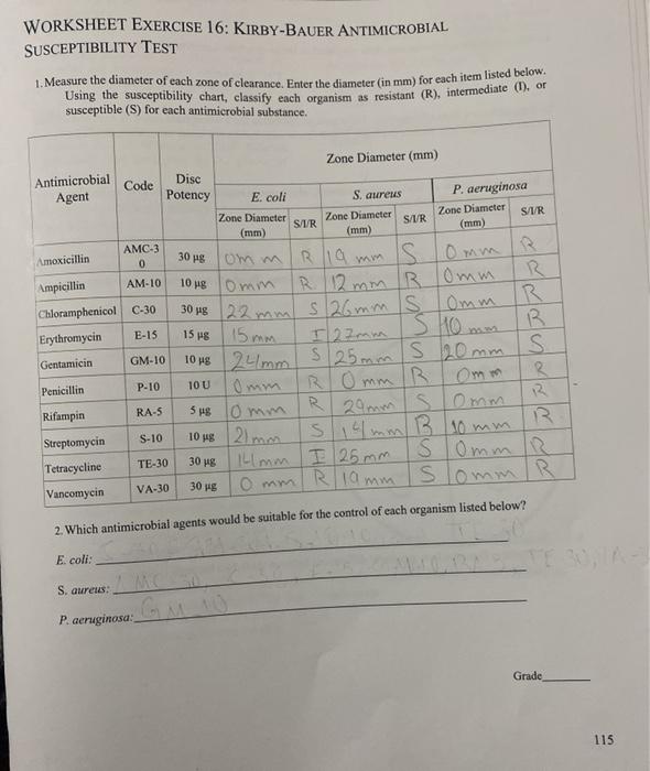 Solved WORKSHEET EXERCISE 16: KIRBY-BAUER ANTIMICROBIAL | Chegg.com