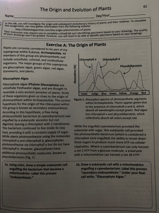 Solved 61 The Origin and Evolution of Plants Name Day/Hour | Chegg.com