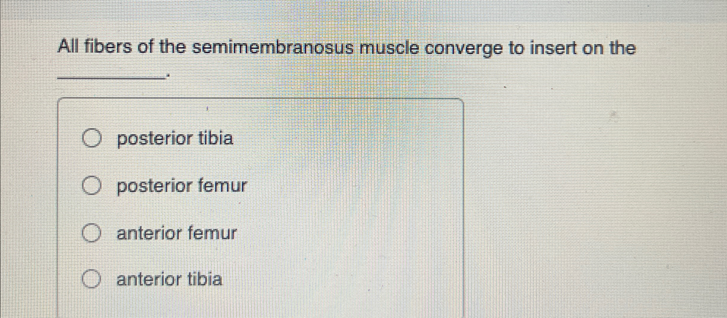 All fibers of the semimembranosus muscle converge to | Chegg.com