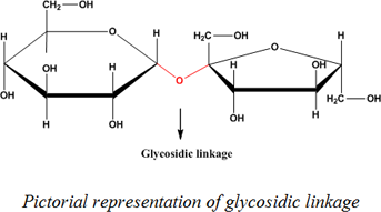 Definition of Hydrolysis | Chegg.com