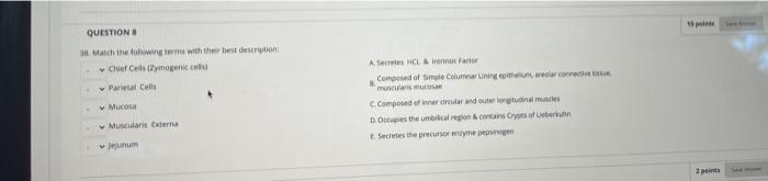 Solved QUESTION 3 Match the following terms with the best | Chegg.com