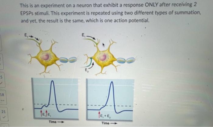 Solved What would happen if this neuron were to receive 1 | Chegg.com