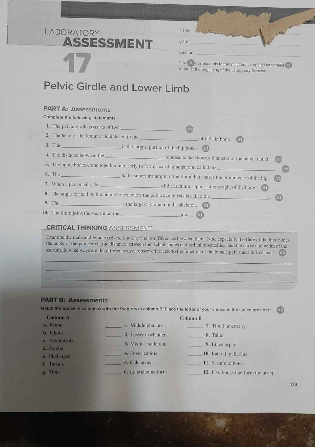 Solved Name LABORATORY ASSESSMENT Date Section 17 The A