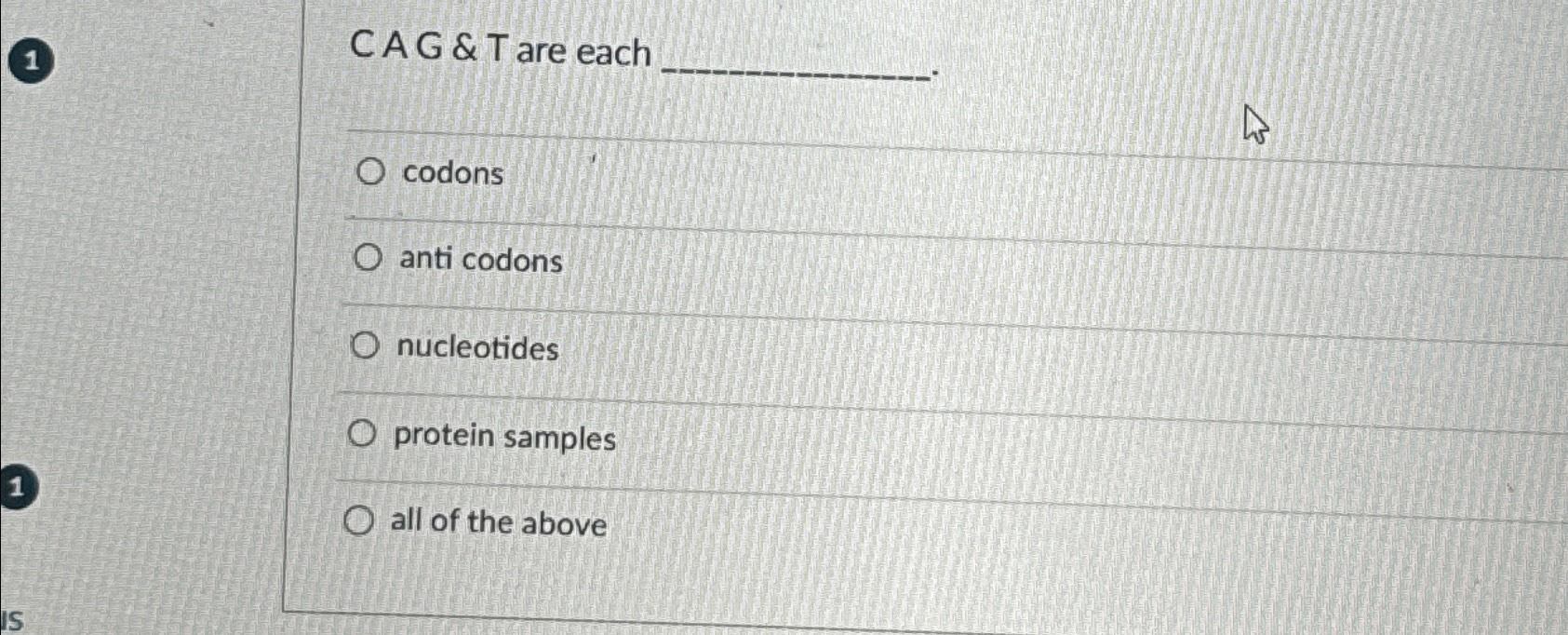 Solved CAG&T are eachcodonsanti codonsnucleotidesprotein | Chegg.com