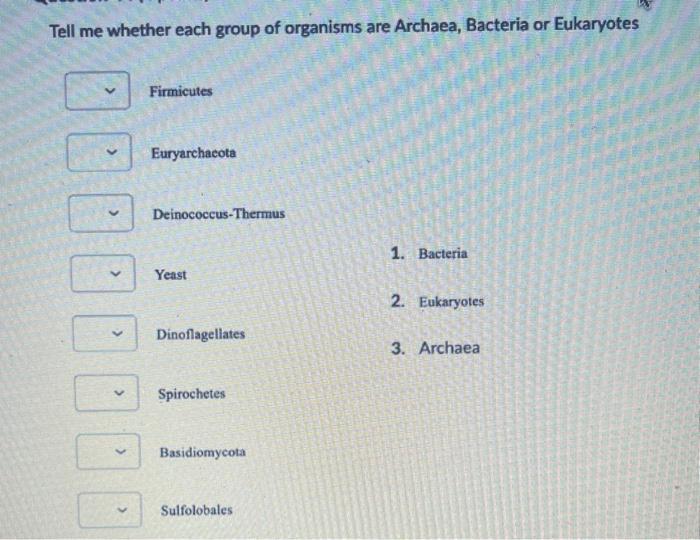 Solved Tell me whether each group of organisms are Archaea,