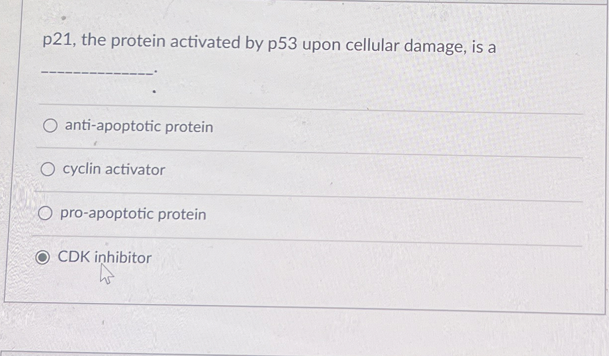 Solved p 21 , ﻿the protein activated by p 53 ﻿upon cellular | Chegg.com
