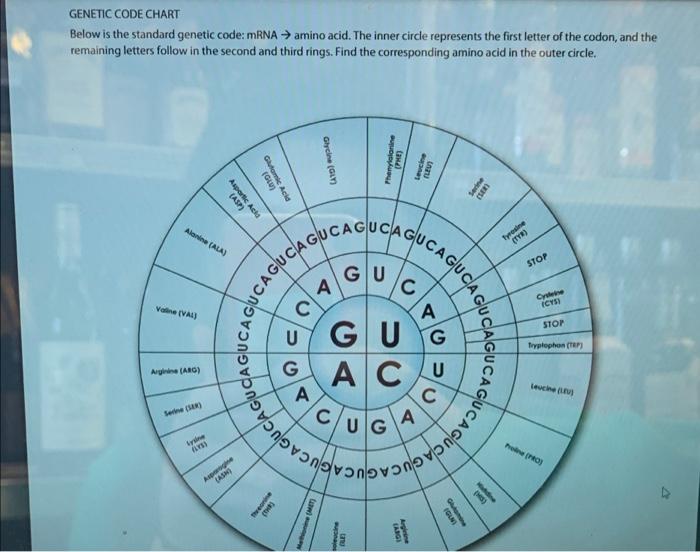 CODE CHART Below is the standard