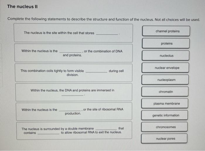 Solved The nucleus II Complete the following statements to | Chegg.com